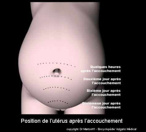 encyclopedie medicale grossesse