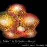 Embryon de 3 jours (schéma)