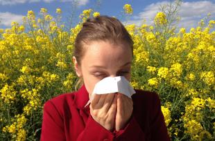 Allergies printanières : quelques conseils pour les éviter