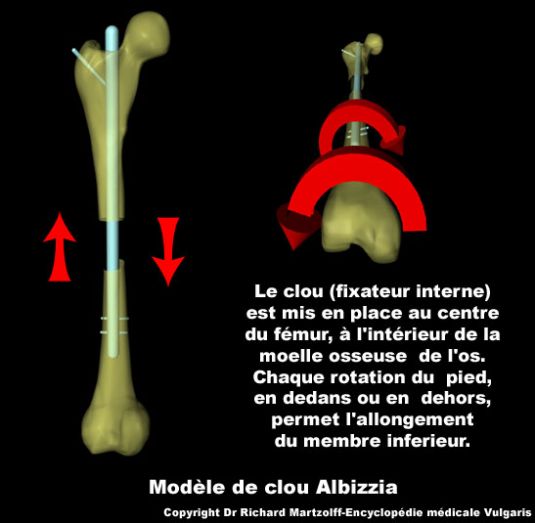 comment-grandir-en-un-tour-de-pieds