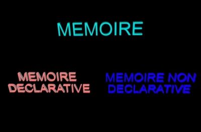 Mémoire déclarative et mémoire non déclarative