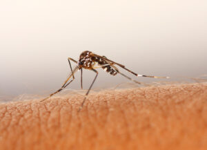 Zika : évaluez votre degré de risque