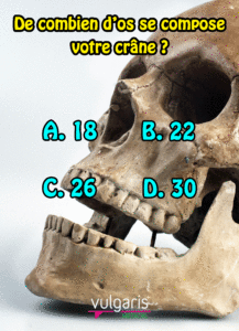 [Quizz] De combien d'os se compose votre crâne ?