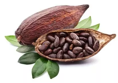 Les bienfaits de la fève de cacao 
