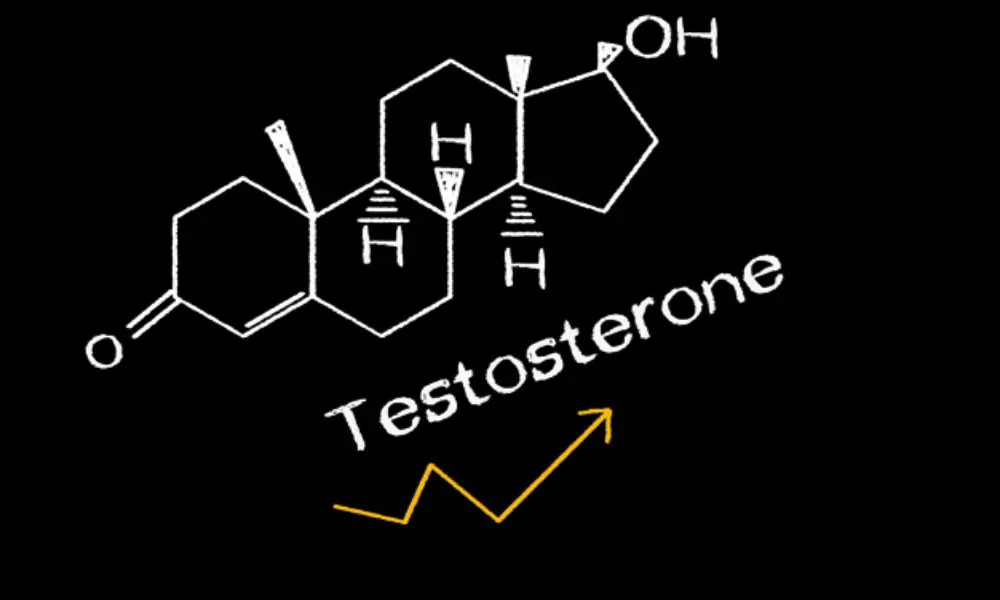 Comment augmenter sa testostérone ? Notre guide