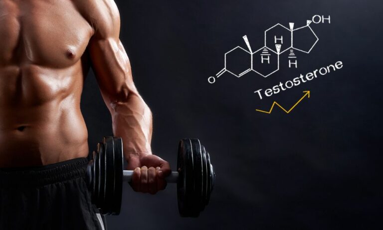cure testostérone