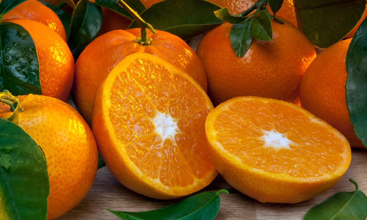 L'orange, l'alliée santé du printemps découvrez tous ses bienfaits cachés