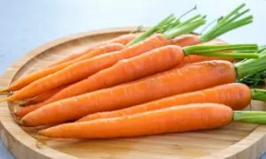 Un régime riche en carottes peut-il vous faire changer de couleur Découvrez la vérité sur ce phénomène étrange